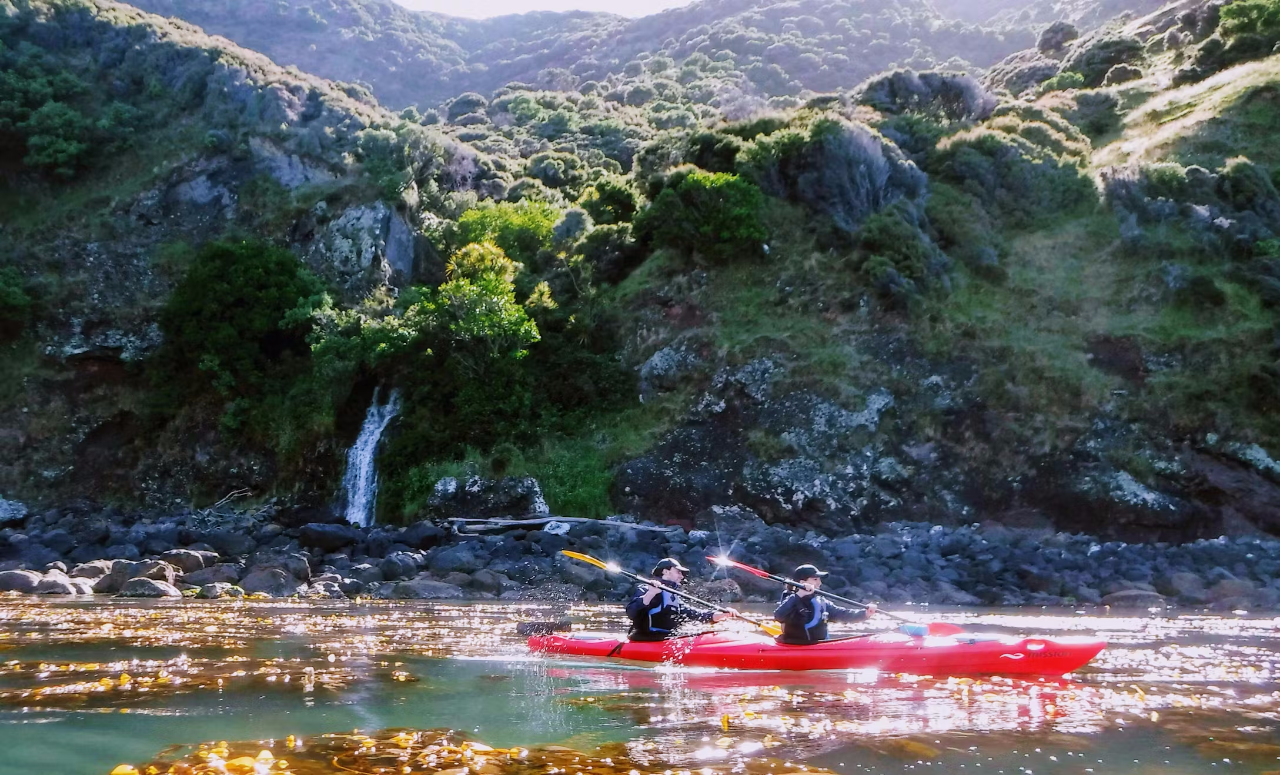 Akaroa Guided Kayak Tour - Photo 1 of 24